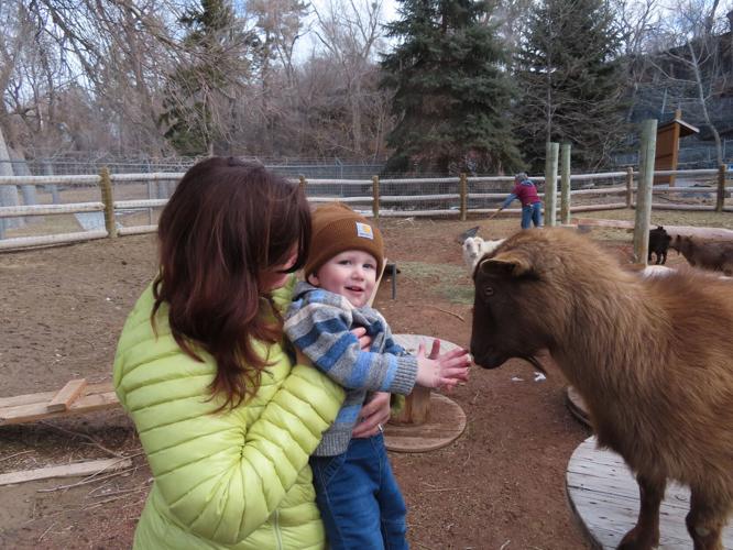 Zoo Idaho