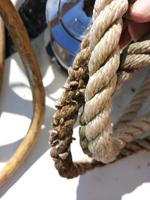 Record number of mussel-fouled boats caught at inspection stations in 2021