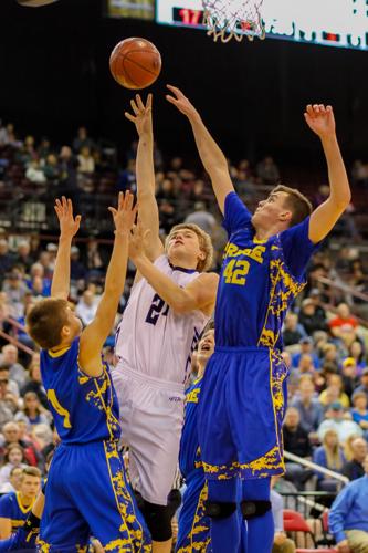 Zack Petersen state