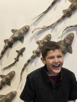 Young boy searches for forever family