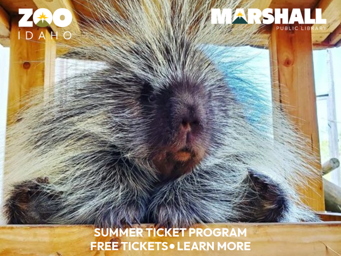 Summer Ticket Program Zoo Idaho MPL 2026.png