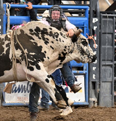 Bull riding#2_2337.jpeg