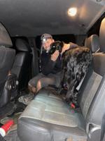 ‘Heartwarming moment’: Dog saved from cliff