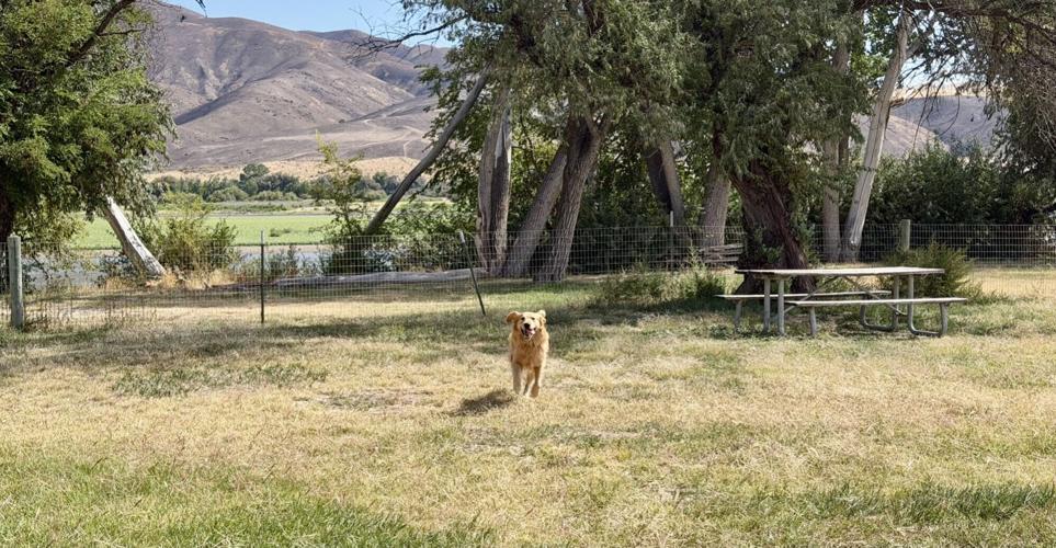 Farewell Bend State Park dog park