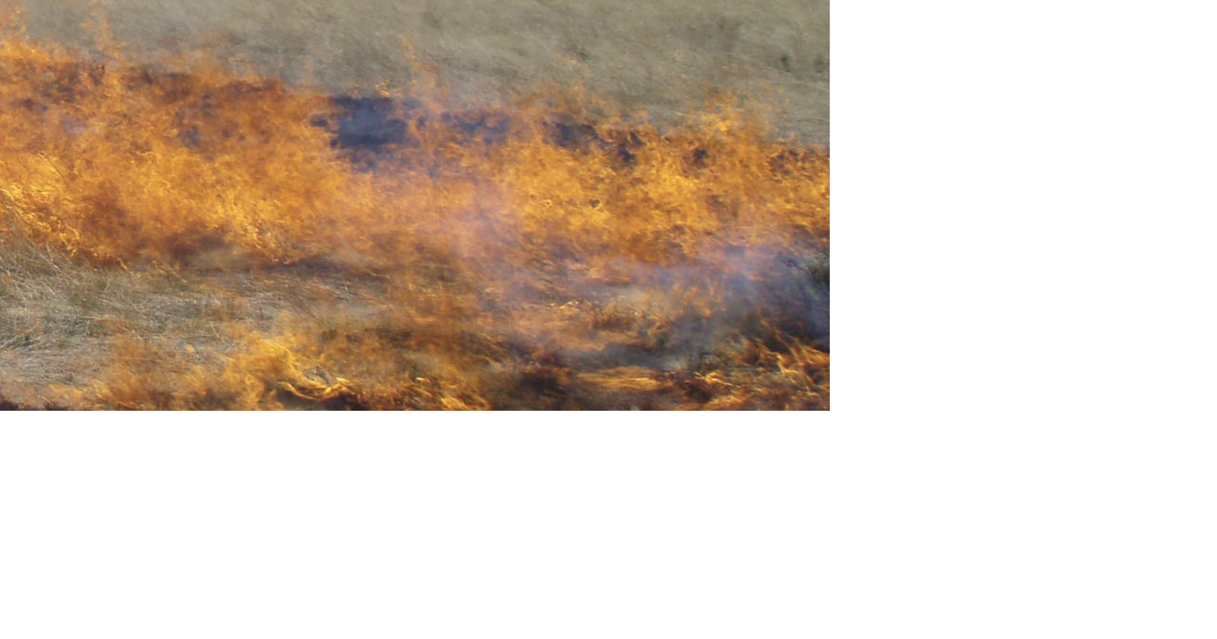Quick response by Pocatello firefighters stops brush fire before it could spread to homes, substation