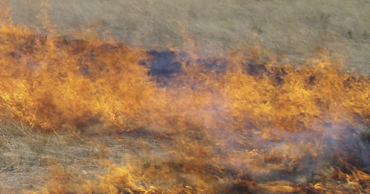 Quick response by Pocatello firefighters stops brush fire before it could spread to homes, substation