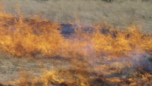 Quick response by Pocatello firefighters stops brush fire before it could spread to homes, substation