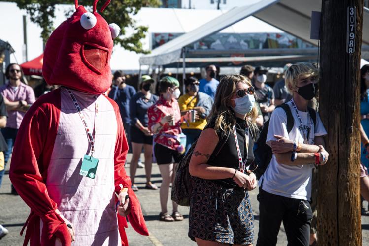 Treefort02.JPG