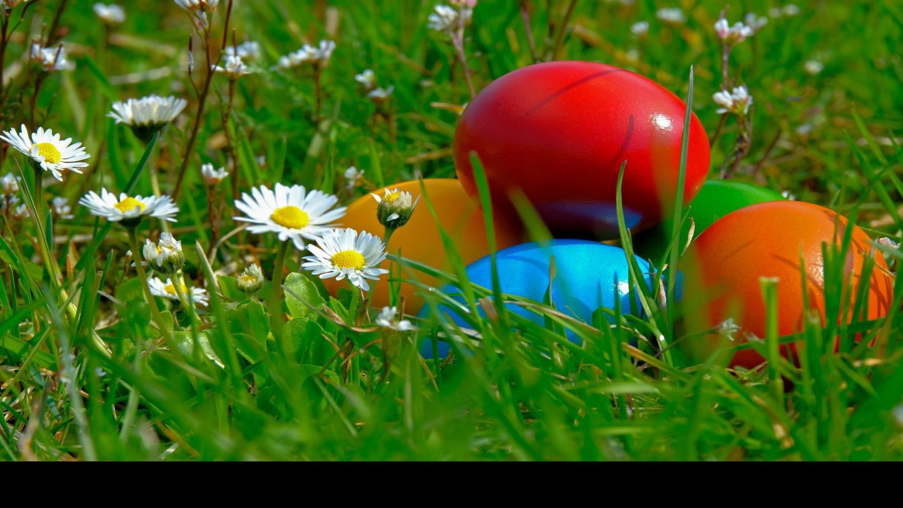 Easter Egg Hunts Planned Throughout East Idaho Local Idahostatejournal Com