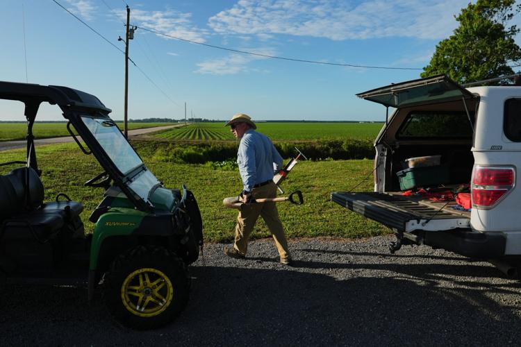 Climate Peatlands Restoration