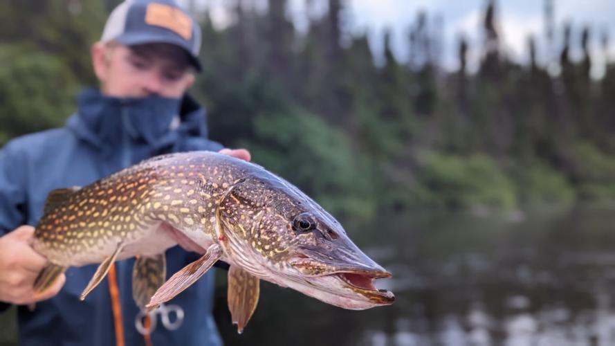 pike 2