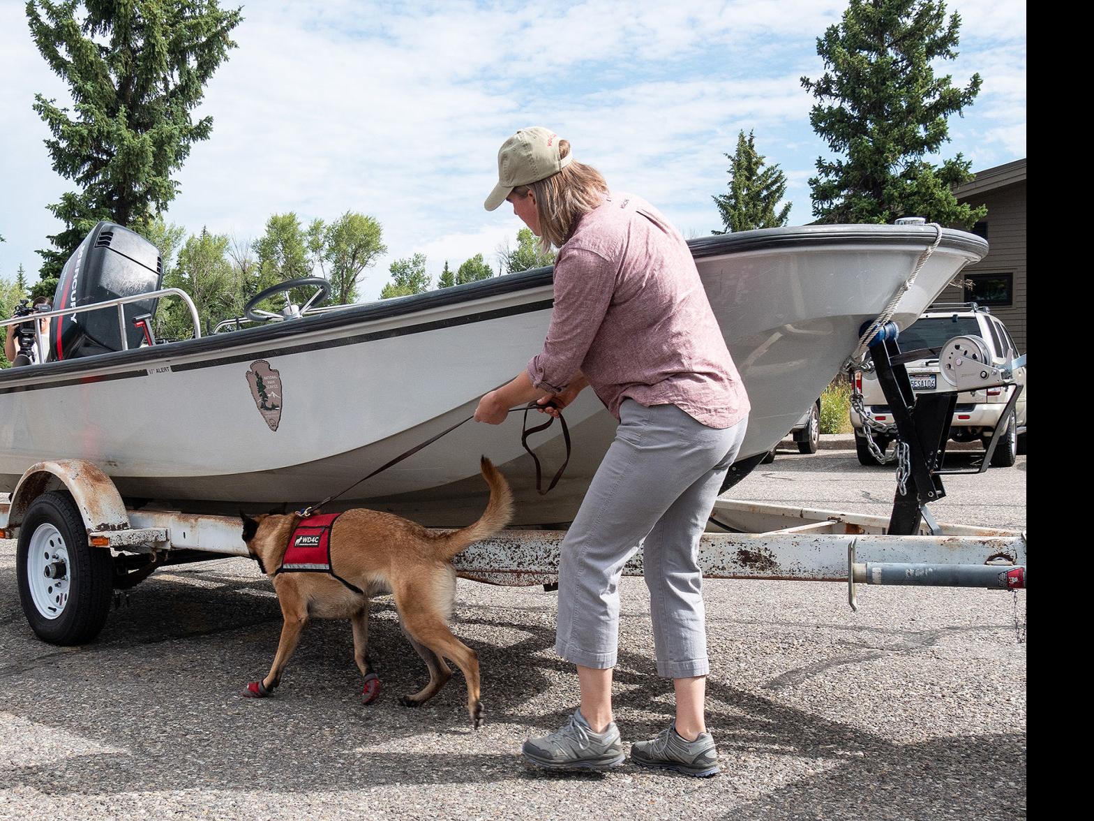 Mussel-sniffing hound works Grand Teton park watercraft check
