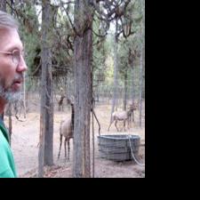 Ex-gubernatorial candidate Rex Rammell charged with battery | Local ...