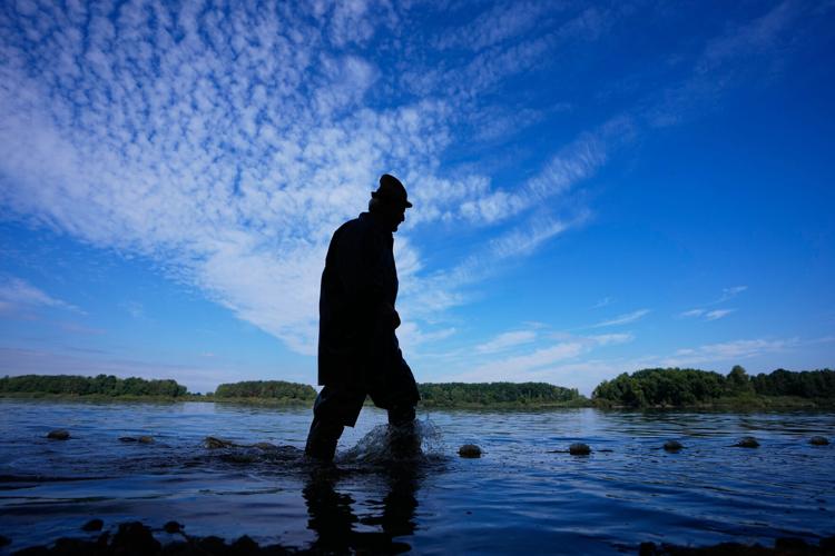 Photos show European fishers on the brink as summer drought parches rivers, lakes and farms