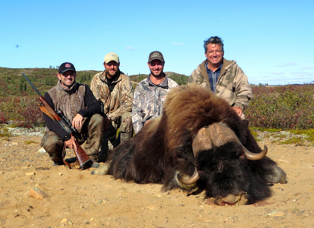 A muskox hunt is a priceless experience, Xtreme