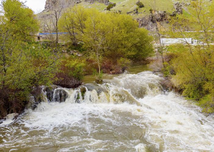 Portneuf River drowning