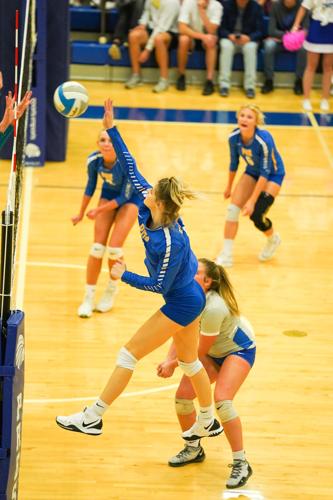 Preston volleyball main (copy)
