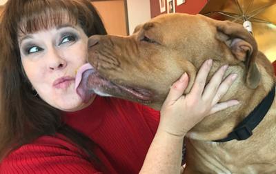 Puppy Kisses Pocatello Animal Shelter Pets Invite Residents To Get Kissed On Valentine S Day Community Idahostatejournal Com