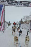 American Dog Derby held in Ashton on Friday