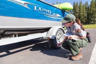 inspection