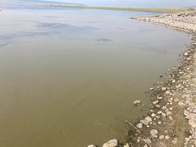 Hegben harmful algal blooms (copy)