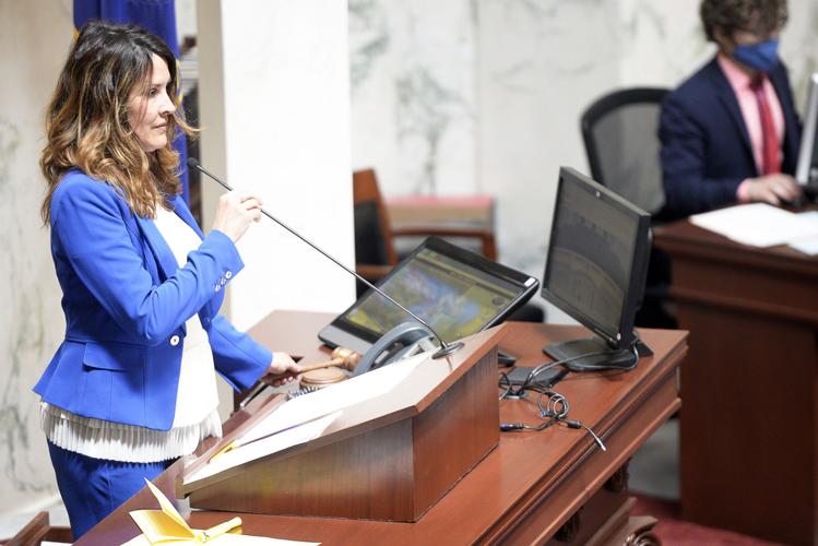 Legislature02.JPG