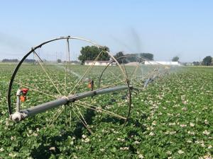 Farmers working together to survive severe drought conditions