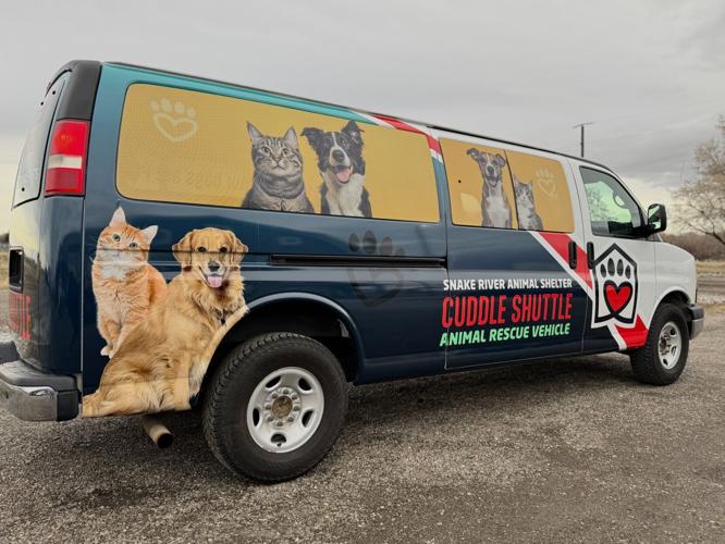 Colorful Cuddle Shuttle