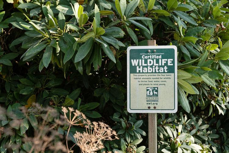 wildlife habitat
