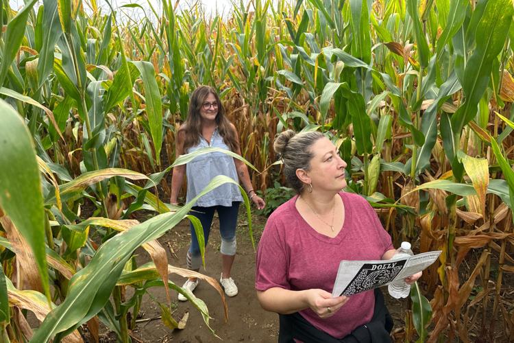 Dolly Parton Corn Maze