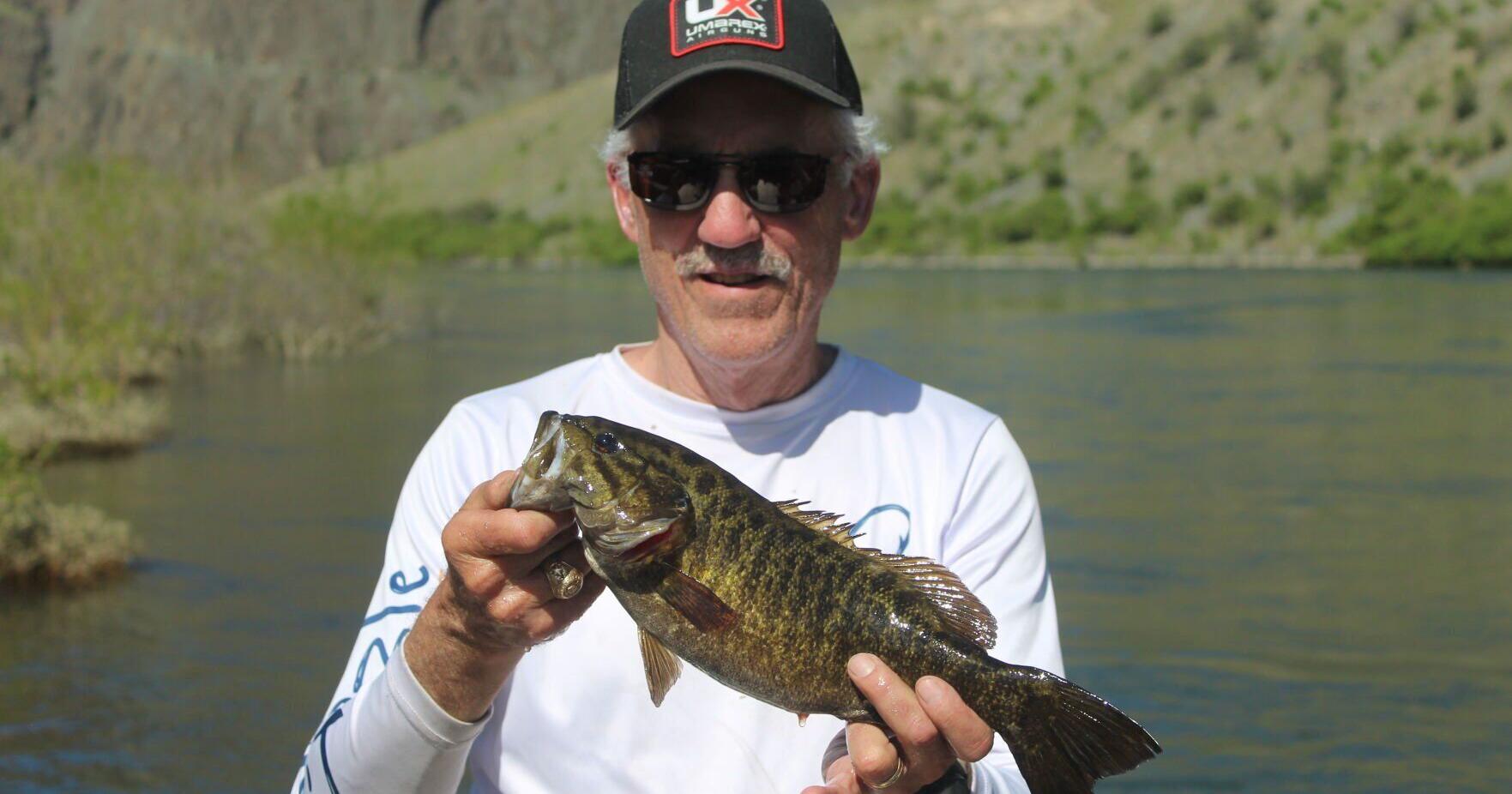 Going back for more smallmouth bass fishing - Vimarsana News