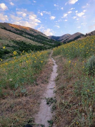 City Creek trail