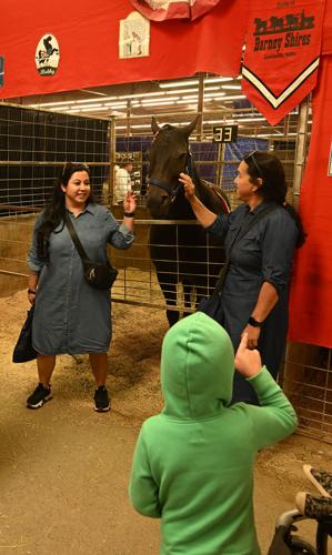 WJS_4444.jpg