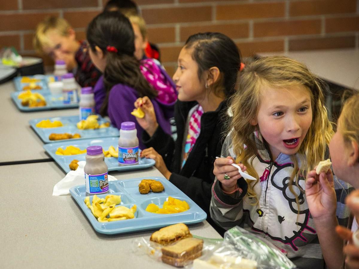 Jerome School District Looking For Land For A Possible Future Elementary School Local Idahostatejournal Com Jerome School District Calendar