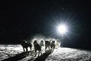 Lack of snow dooms part of Sled Dog Challenge