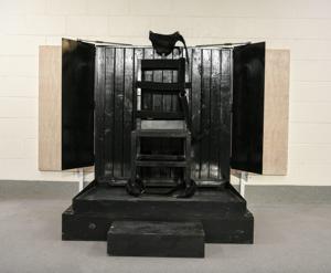 Executions in United States hit 12-year high