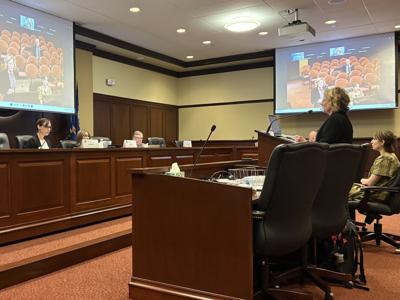 Child Custody Task Force December Hearing