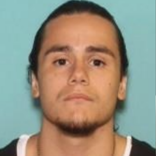 Nampa man involved in multiple weekend shootings dies of self-inflicted gunshot wound in Nevada following police pursuit - Vimarsana News