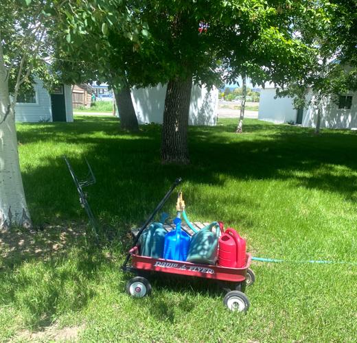 Jenny Groom's water wagon