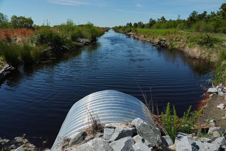 Climate Peatlands Restoration