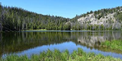 Salmon-Challis National Forest