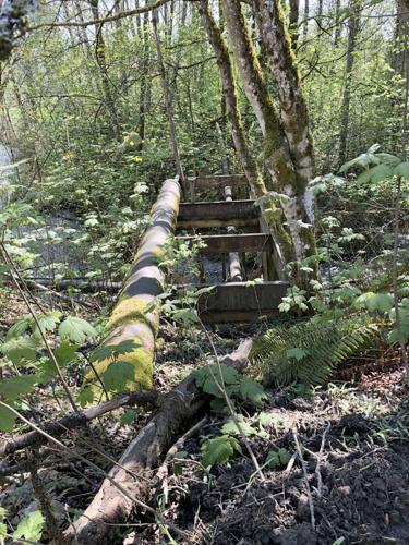 New Trail
