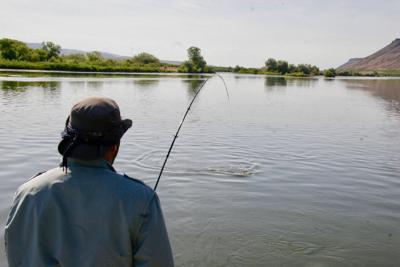 An angler fishes for bass on the Snake River ISJ