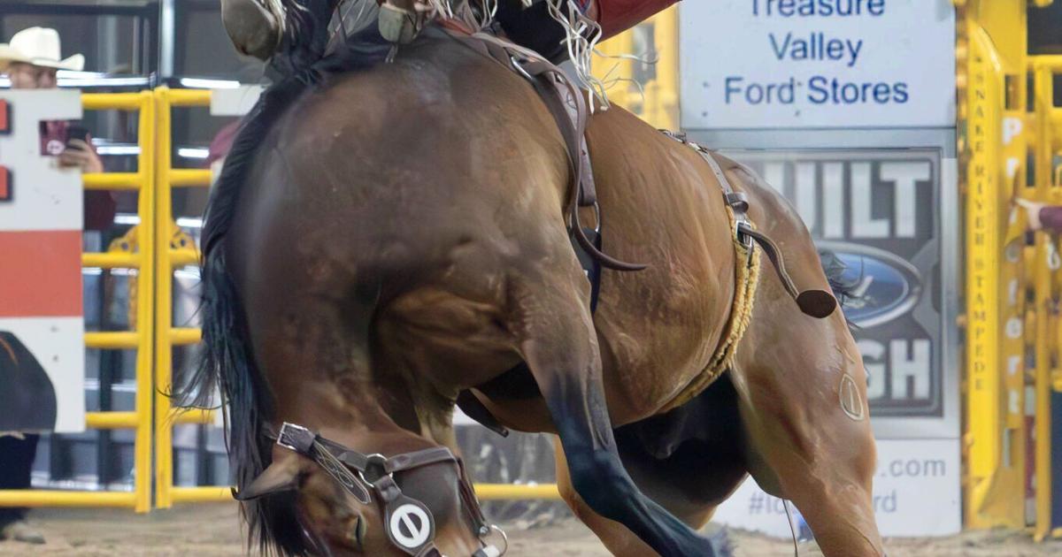 Slade Keith Rodeo Young rodeo stars shine in Snake River Stampede Championship | Sport ...