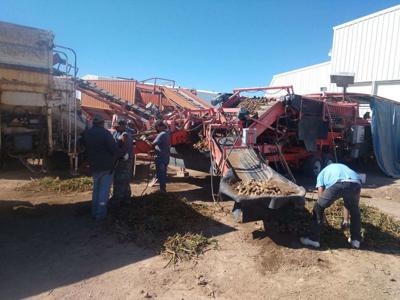 Koompin Farms