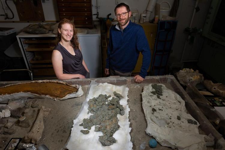 ISU student, professor research focuses on turtle eggs
