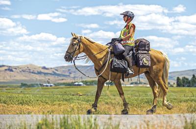Horse Rider