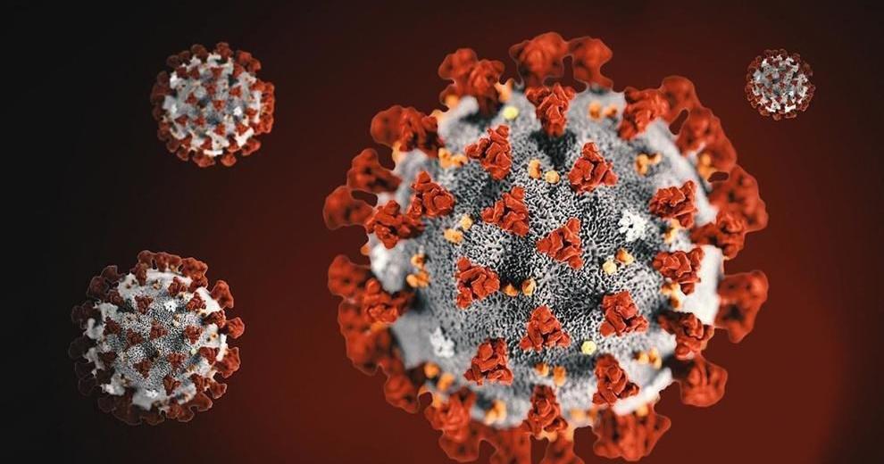Two COVID deaths, 295 new cases reported in Southeast Idaho during past week