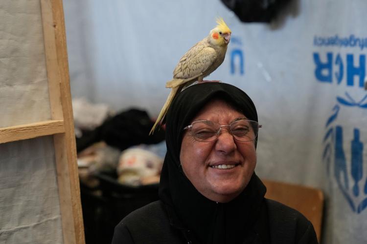 A basketball court shelters displaced families in Lebanon, in photos