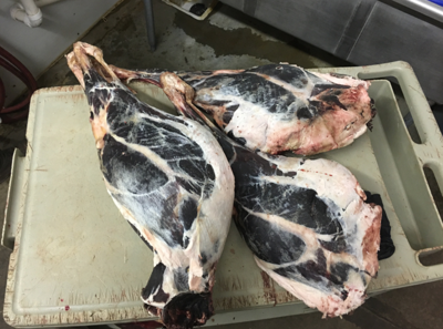 Wasted deer meat
